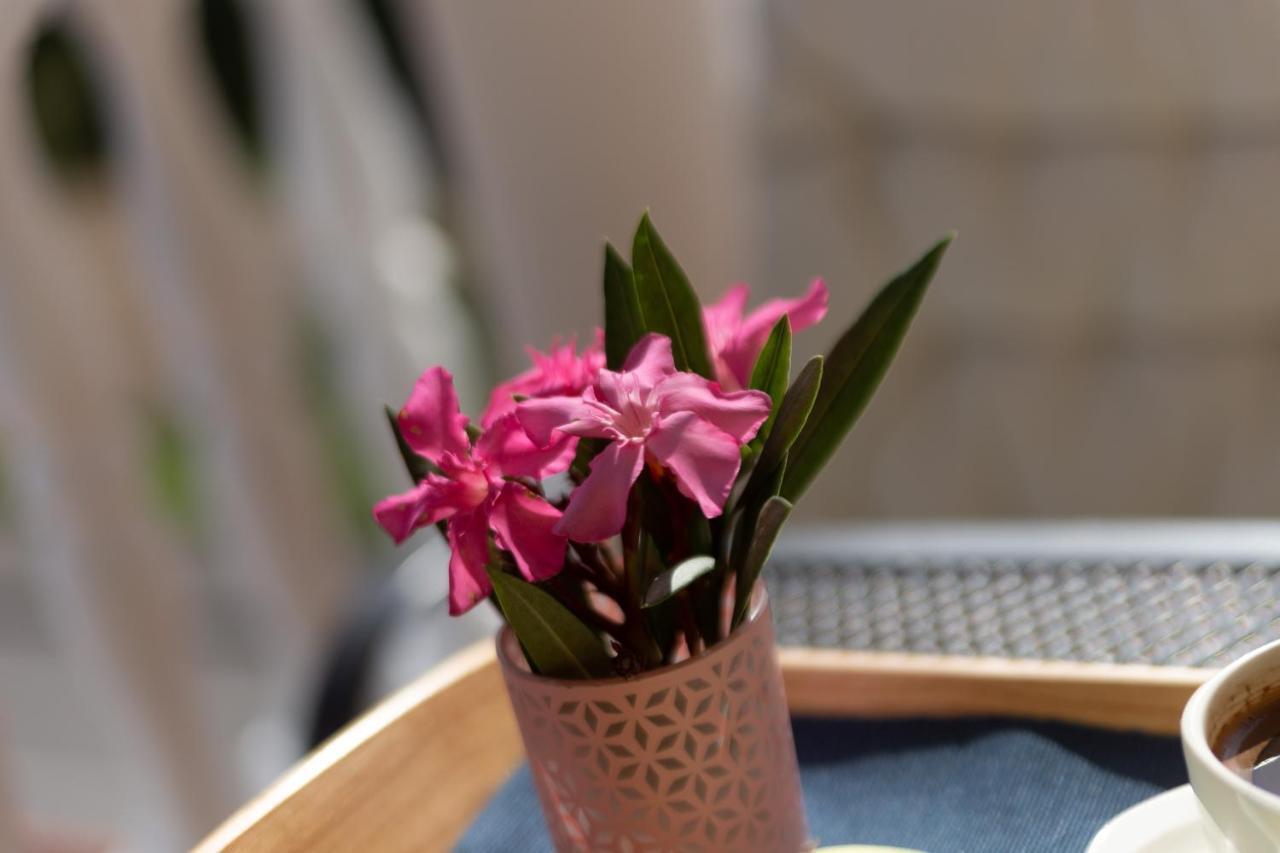 Villa Oleander ดรามัลย์ ภายนอก รูปภาพ